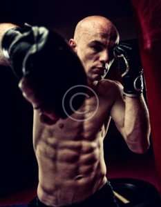 Home MMA – Dan Severn